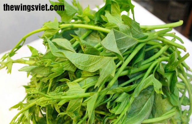 các loại rau lợi sữa các loại rau lợi sữa