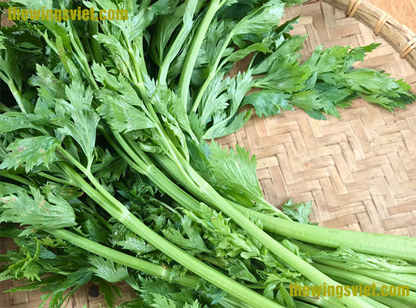 cần tây có tác dụng gì