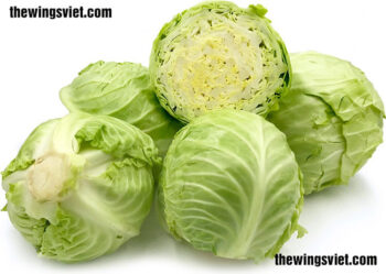 ăn rau bắp cải có bị mất sữa không