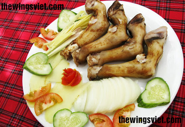 móng giò dê ăn lợi sữa