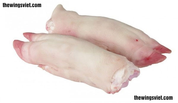 móng giò lợi sữa