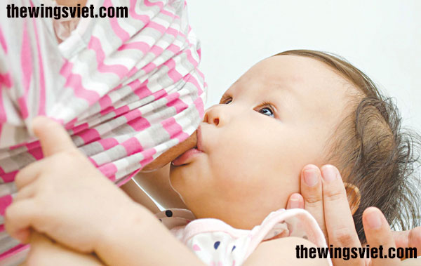 nguồn sữa mẹ tốt nhất