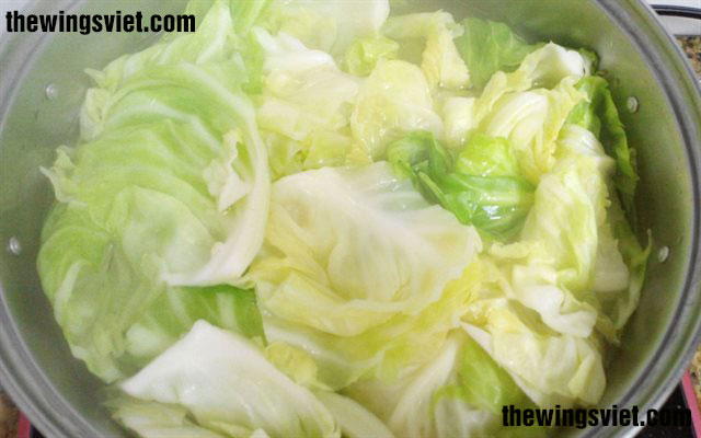 tác dụng của rau bắp cải tác dụng của rau bắp cải