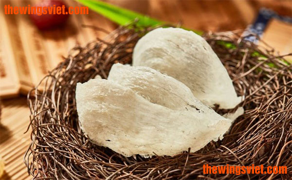 thị trường yến sào hiện nay