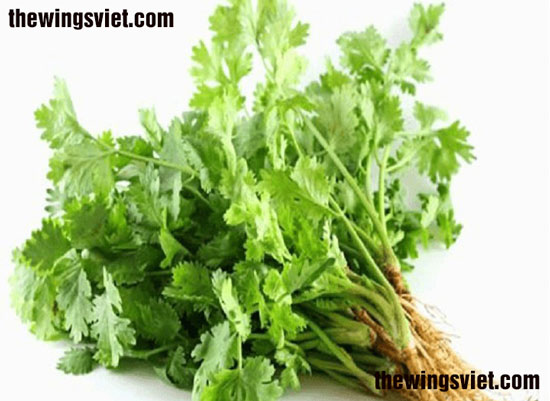 ăn rau mùi bị mất sữa ăn rau mùi bị mất sữa