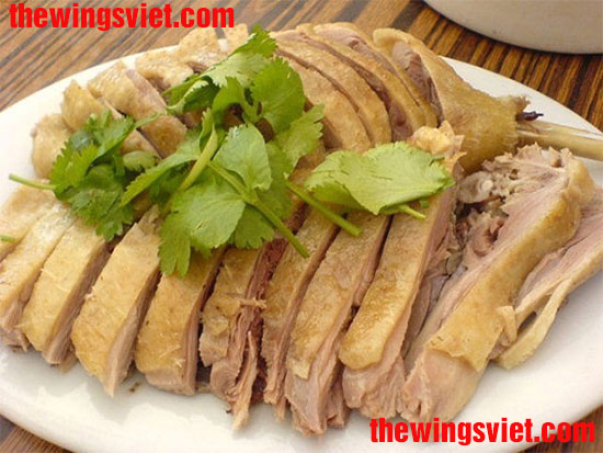 ăn thịt vịt thịt ngan có bị mất sữa không ăn thịt vịt thịt ngan có bị mất sữa không