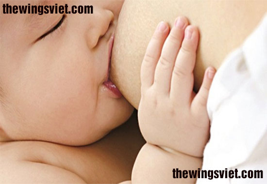 cho bé ngậm vú đúng cách cho bé ngậm vú đúng cách