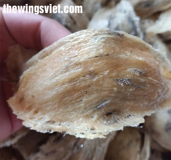 lựa chọn tổ yến cho bé