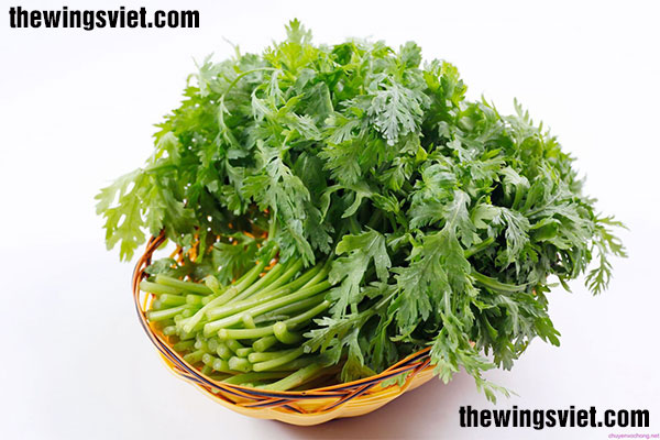 công dụng của rau cải cúc công dụng của rau cải cúc
