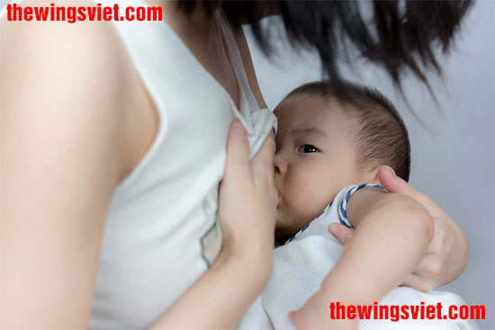 gọi sữa về bằng cách cho con bú gọi sữa về bằng cách cho con bú