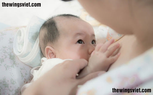 tác dụng của bột ngũ cốc kích sữa tác dụng của bột ngũ cốc kích sữa