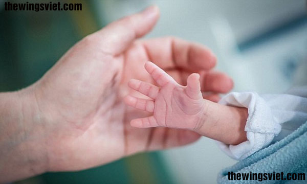 tác hại khi không nuôi con bằng sữa mẹ tác hại khi không nuôi con bằng sữa mẹ