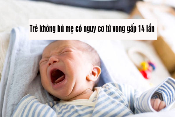 trẻ không bú mẹ nguy cơ tử vong cao trẻ không bú mẹ nguy cơ tử vong cao