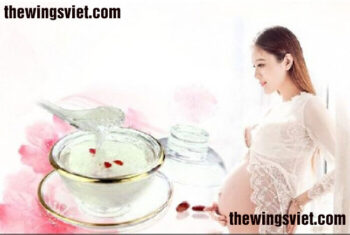 yến sào cho bà bầu