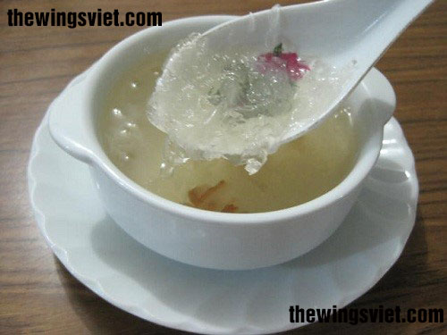 yến sào chưng đường phèn yến sào chưng đường phèn