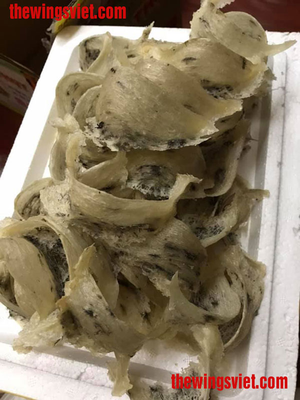 yến sào khánh hòa tại hà nội