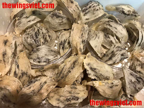 ăn yến sào có bị dị ứng không ăn yến sào có bị dị ứng không