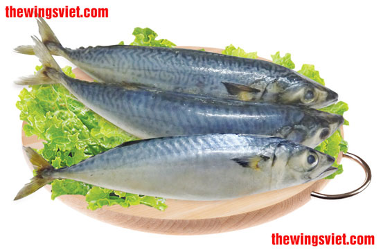 cách khử mùi tanh của sữa mẹ cách khử mùi tanh của sữa mẹ