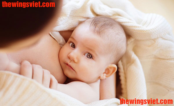 cần làm gì để tăng chất lượng sữa mẹ cần làm gì để tăng chất lượng sữa mẹ