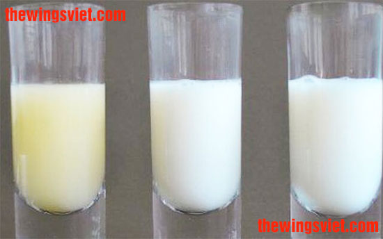 nguyên nhân sữa loãng