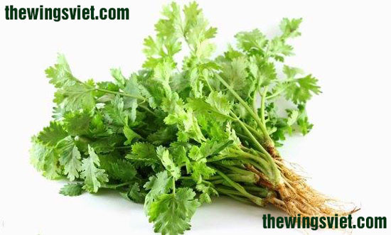 rau mùi làm mẹ mất sữa