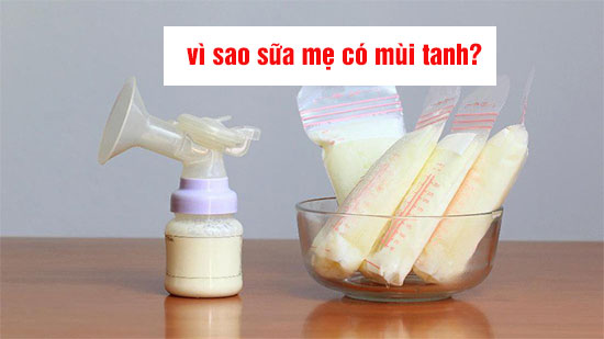sữa mẹ có mùi tanh sữa mẹ có mùi tanh