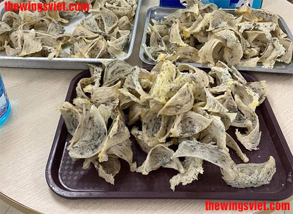 yến sào cho người gầy