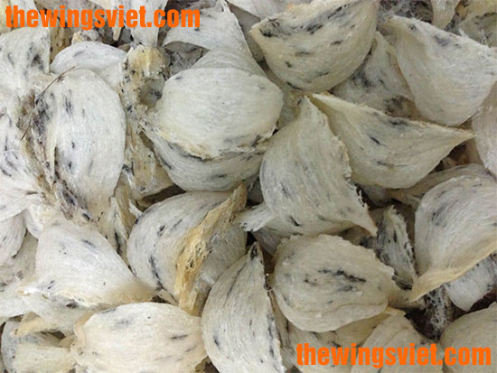 bệnh cao huyết áp ăn yến sào được không bệnh cao huyết áp ăn yến sào được không