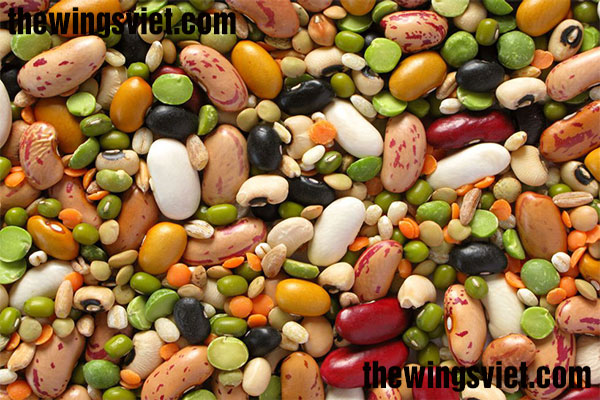 cách làm ngũ cốc lợi sữa từ hạt đậu