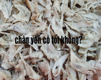 chân yến có tốt không