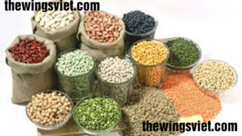 mất sữa nên ăn gì lấy lại sữa