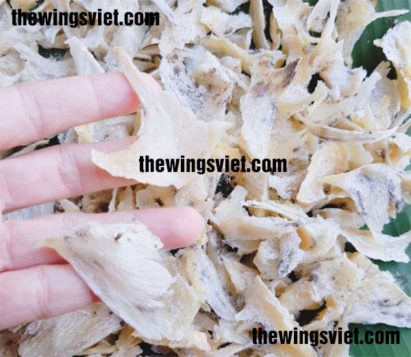 mua chân yến ở đâu