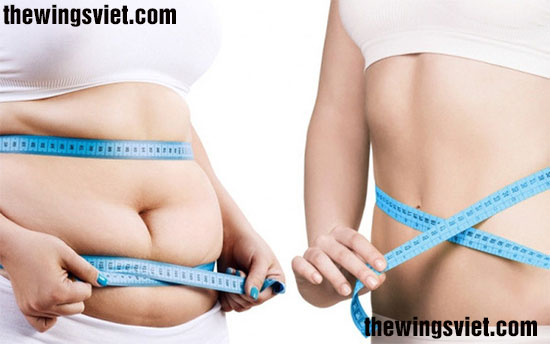 ngũ cốc lợi sữa từ hạt đậu giúp giảm cân 