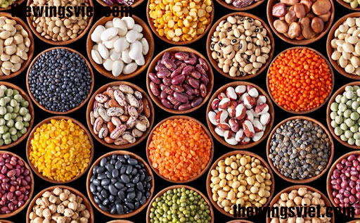 Ngũ cốc lợi sữa được làm từ các loại hạt đậu nào?