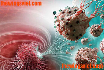 người bị ung thư có nên ăn yến sào