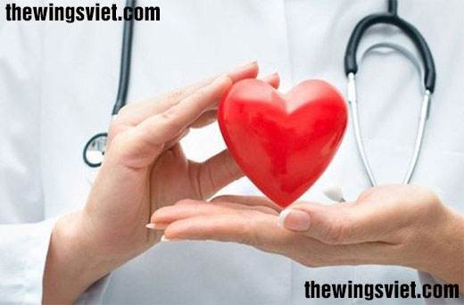 tác dụng của ngũ cốc từ hạt đậu với tim mạch