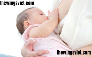 yến mạch vừa lợi sữa vừa giảm cân