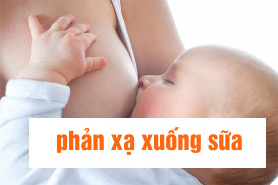 phản xạ xuống sữa phản xạ xuống sữa