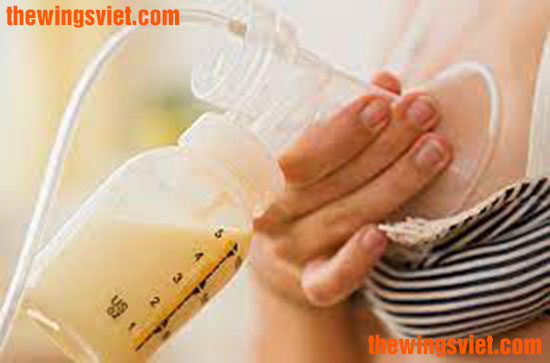 thành phần của sữa mẹ thành phần của sữa mẹ