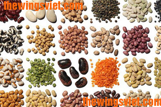 uống ngũ cốc lợi sữa có tốt không uống ngũ cốc lợi sữa có tốt không