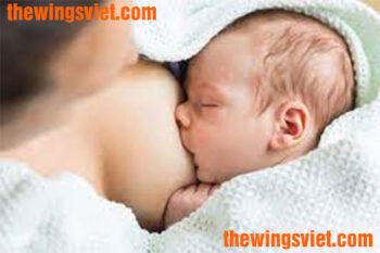 cách uống ngũ cốc lợi sữa hiệu quả