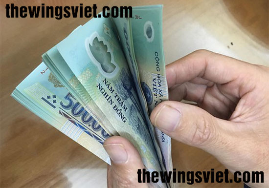 giá tổ yến còn lông giá tổ yến còn lông