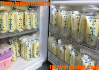 lưu trữ bảo quản sữa mẹ