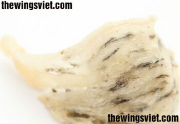 nên mua yến thô hay yến tinh chế