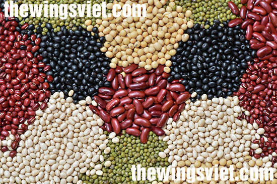 nguyên liệu làm ngũ cốc lợi sữa tại nhà nguyên liệu làm ngũ cốc lợi sữa tại nhà