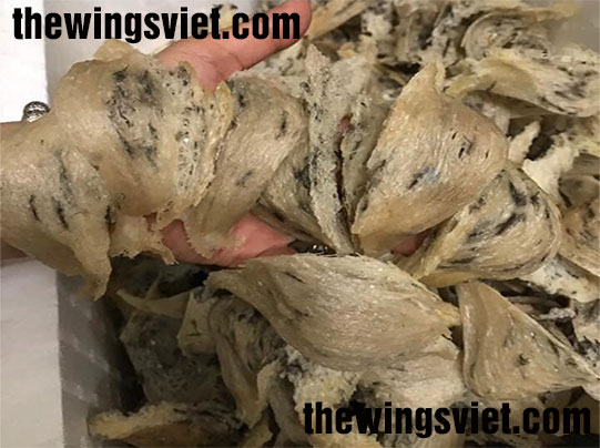 tổ yến thô còn lông tổ yến thô còn lông