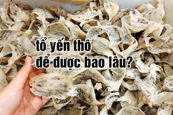 tổ yến thô để được bao lâu