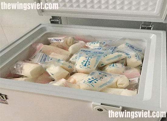 tủ đông lưu trữ sữa mẹ tủ đông lưu trữ sữa mẹ