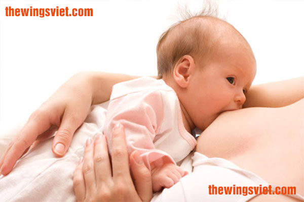 cho con bú mẹ sớm cho con bú mẹ sớm