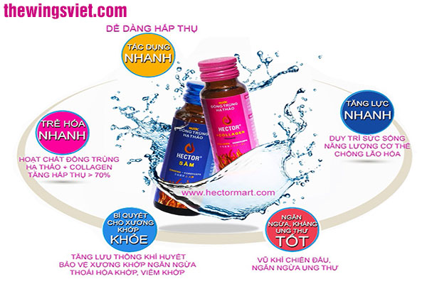 công dụng của hector collagen